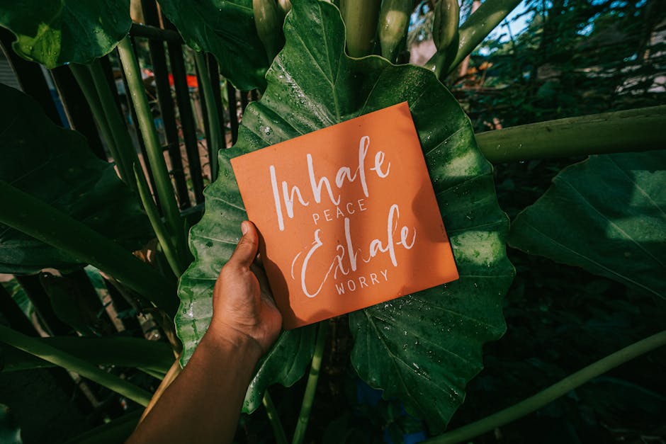 GAYA HIDUP MALAS? Jangan Kaget, Ini 4 Manfaat Tak Terduga Yang Bikin Kamu Lebih Kreatif Dan Bahagia! - Page 6