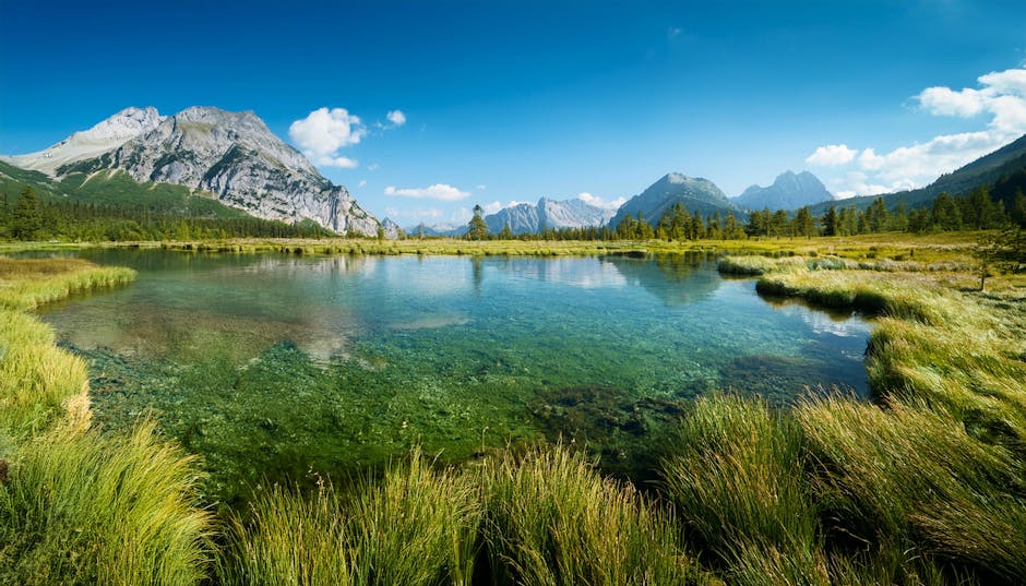 Apakah AI Akan Menggantikan Pekerjaan Manusia? Fakta Dan Mitos Yang Perlu Anda Ketahui