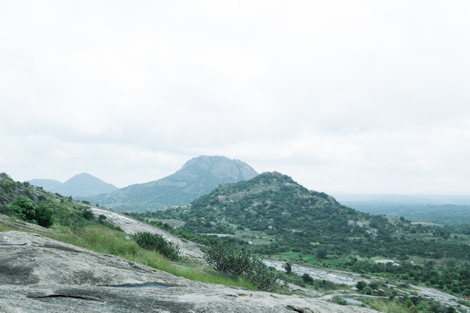 Apakah AI Akan Menggantikan Pekerjaan Manusia? Fakta Dan Mitos Yang Perlu Anda Ketahui - Page 2