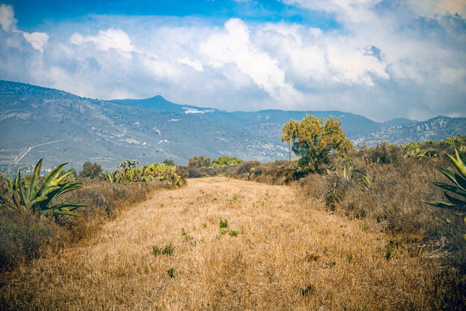 Bagaimana AI Mengubah Cara Anda Berbelanja Dan Membuat Keputusan Pembelian - Page 2