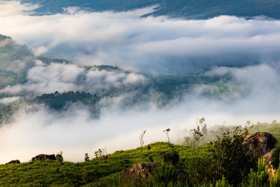 Bagaimana AI Mengubah Cara Anda Berbelanja Dan Membuat Keputusan Pembelian - Page 3