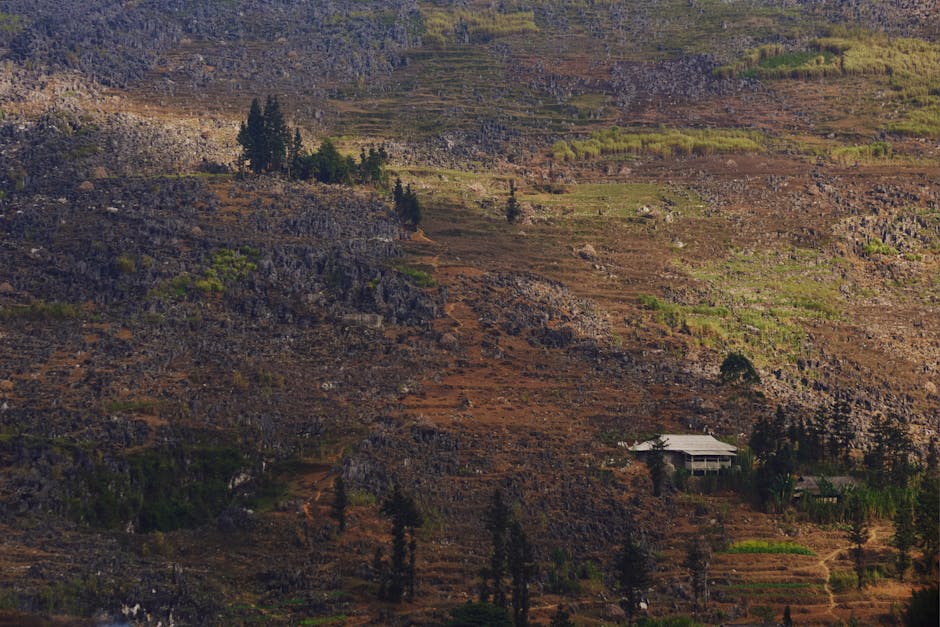 Pekerjaan Anda Di Keuangan Terancam? 7 Posisi Ini Akan Digantikan AI Dalam 5 Tahun! - Page 2