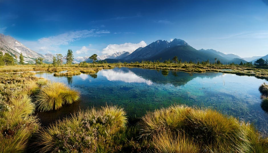 5 Cara Menggunakan AI Untuk Meningkatkan Pengalaman Belanja Online