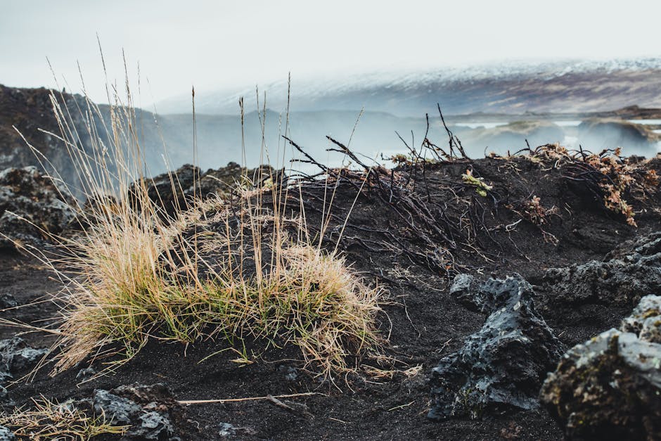 Cari Jodoh Makin Susah? AI Ini Bakal Jadi Mak Comblang Digitalmu & Menemukan Belahan Jiwa Impianmu!