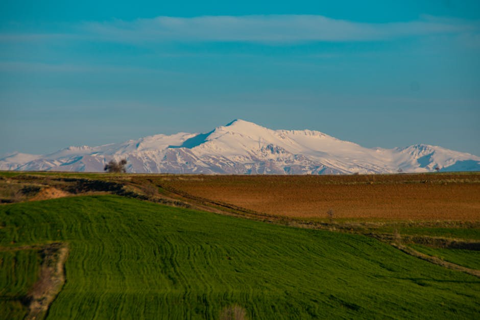 Cari Jodoh Makin Susah? AI Ini Bakal Jadi Mak Comblang Digitalmu & Menemukan Belahan Jiwa Impianmu! - Page 2