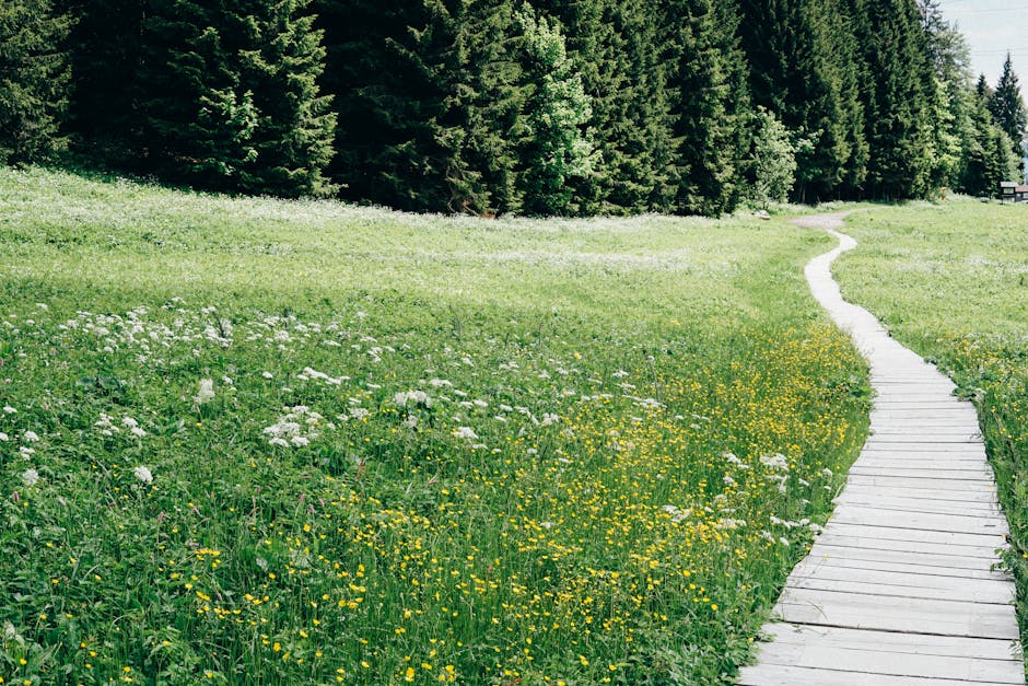 7 Gaya Hidup Sehat Yang Bisa Membuat Anda Lebih Muda Dan Enerjik - Page 6