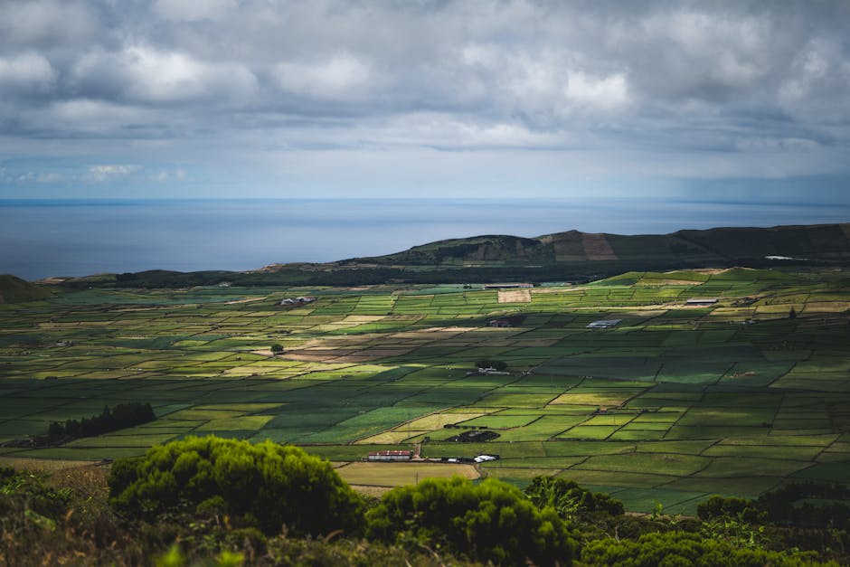 10 Kesalahan Keuangan Yang Paling Sering Dilakukan Orang Muda - Page 2