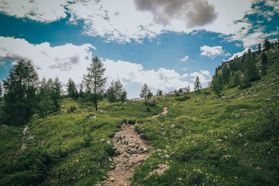 Inilah 3 Cara Teknologi Membantu Anda Mengelola Keuangan Dengan Cerdas - Page 4