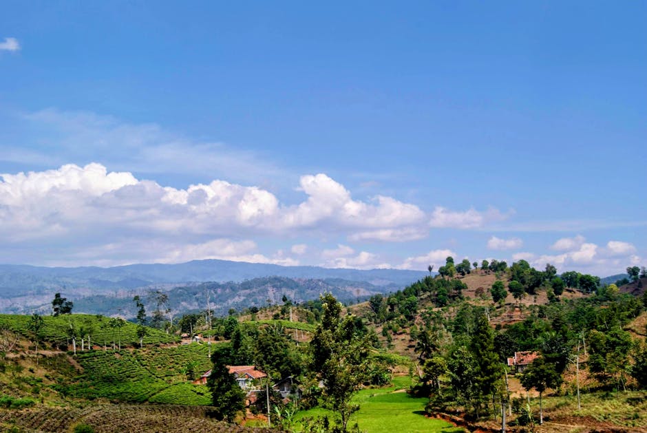 5 Cara Kecerdasan Buatan Mengubah Industri Keuangan Di Indonesia - Page 3