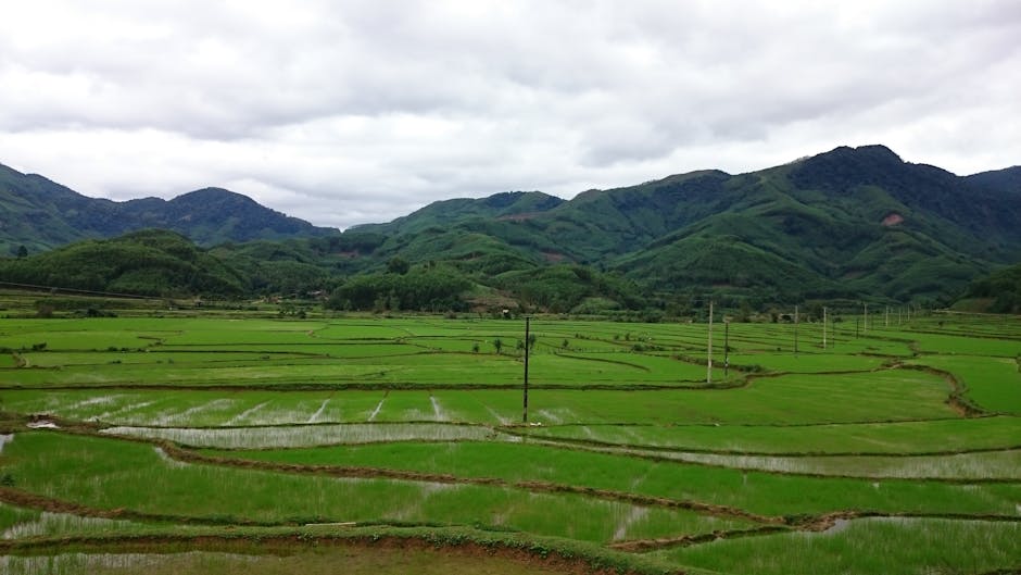 Bagaimana Membuat Uang Dengan Cepat Dan Mudah Tanpa Modal Besar